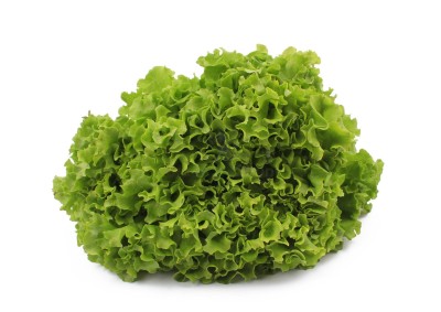 Салат романо 1 кг - купить в Нижнеянактаево